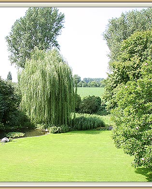 Großes Grundstück mit sehr schönen Garten mit alten Baumbestand und Teich